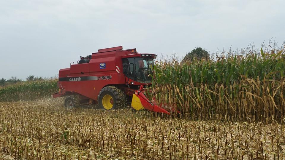 récolte du maïs 2014